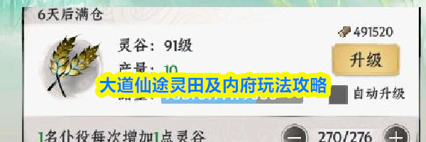 大道仙途灵田及内府玩法攻略