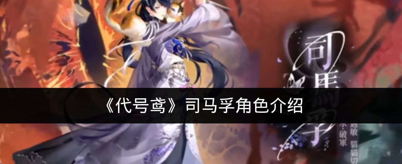 《代号鸢》司马孚角色介绍