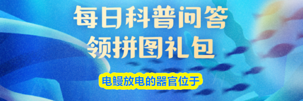 电鳗放电的器官位于