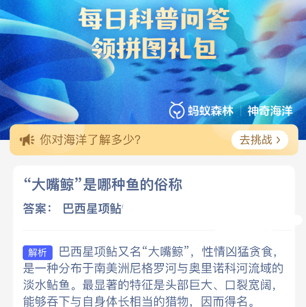 大嘴鲸是哪种鱼的俗称