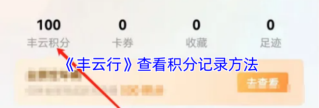 《丰云行》查看积分记录方法