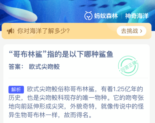 哥布林鲨指的是以下哪种鲨鱼
