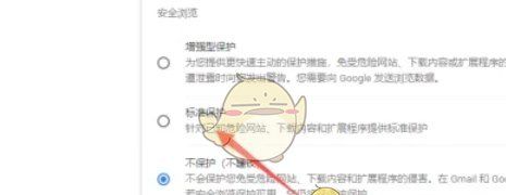 《谷歌浏览器》安全保护设置方法