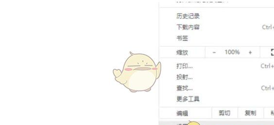 《谷歌浏览器》安全保护设置方法