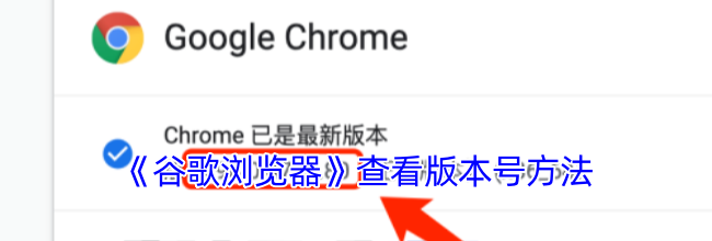 《谷歌浏览器》查看版本号方法