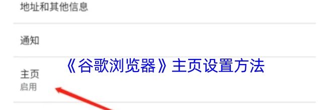 《谷歌浏览器》主页设置方法