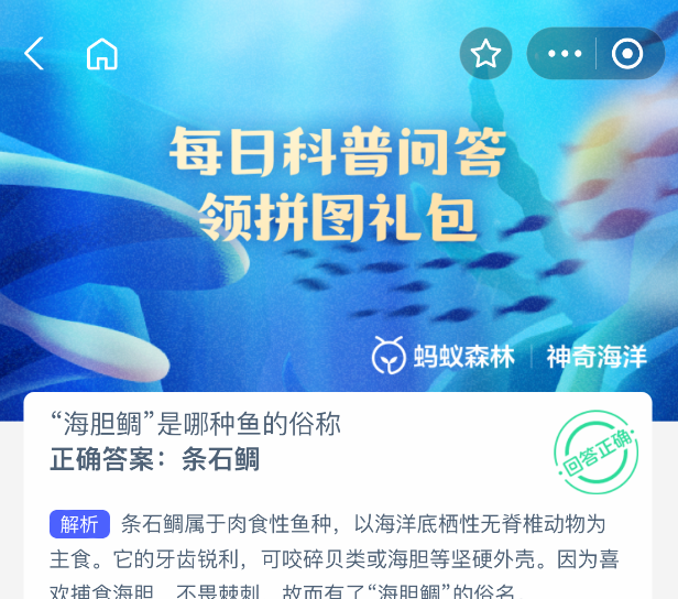 海胆鲷是哪种鱼的俗称