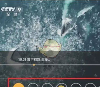 《hdp直播》调整清晰度方法