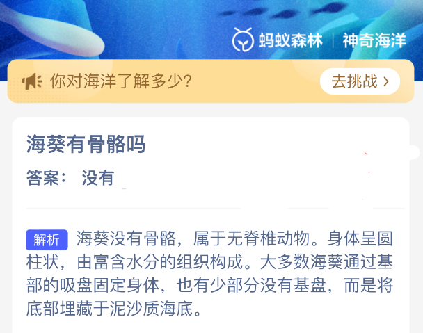 海葵有骨骼吗