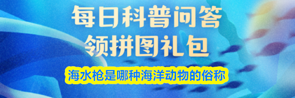 海水枪是哪种海洋动物的俗称
