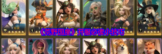 《荒野国度》开服必读小技巧