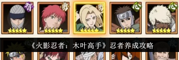 《火影忍者：木叶高手》忍者养成攻略