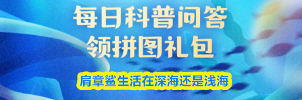 肩章鲨生活在深海还是浅海