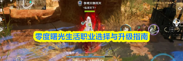 零度曙光生活职业选择与升级指南