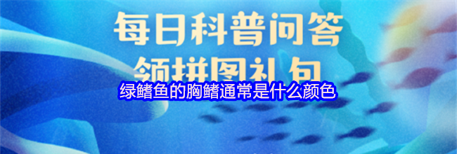 绿鳍鱼的胸鳍通常是什么颜色