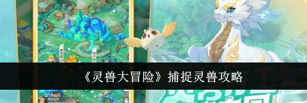 《灵兽大冒险》捕捉灵兽攻略