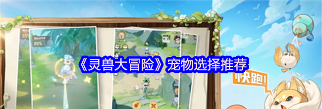 《灵兽大冒险》宠物选择推荐