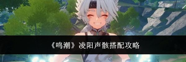 《鸣潮》凌阳声骸搭配攻略