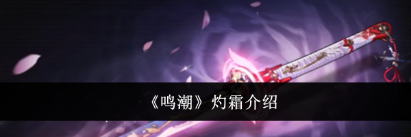 《鸣潮》灼霜介绍