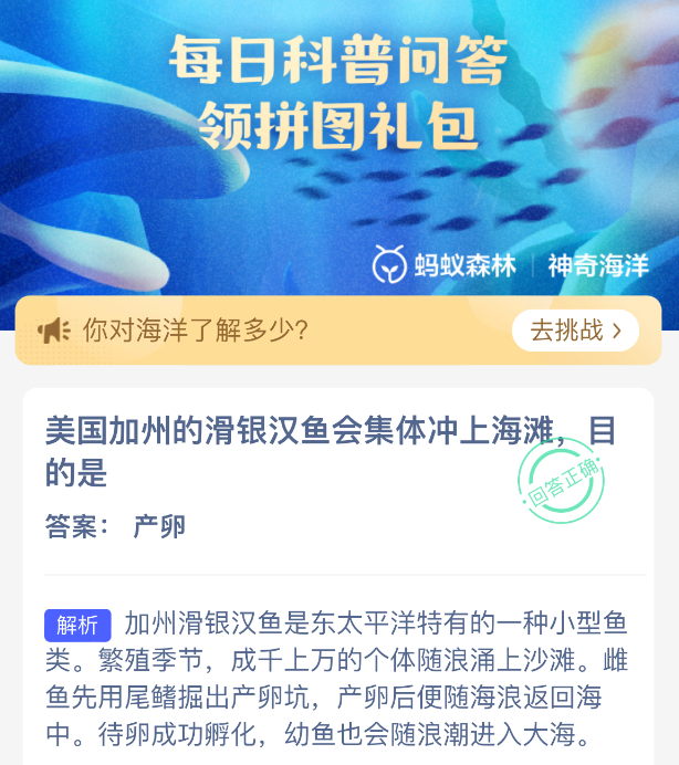 美国加州的滑银汉鱼会集体冲上海滩目的是