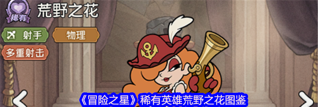 《冒险之星》稀有英雄荒野之花图鉴