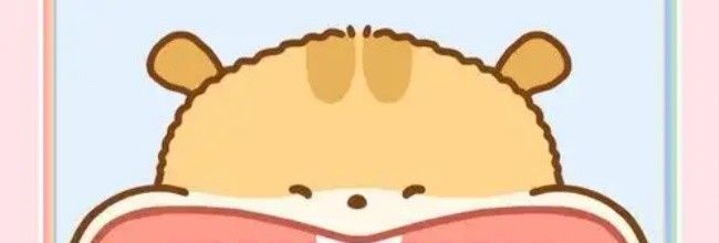 奶酪单词仓鼠图鉴查看方法