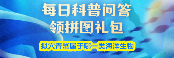 拟穴青蟹属于哪一类海洋生物