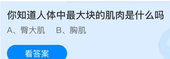 你知道人体中最大块的肌肉是什么吗