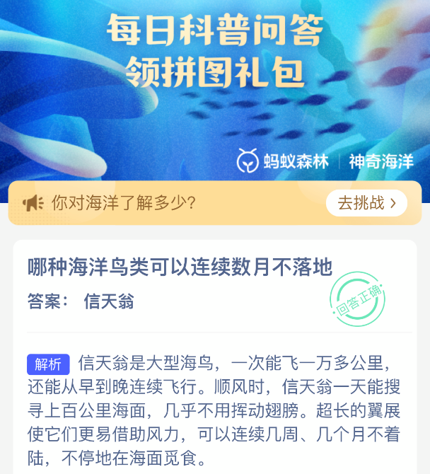哪种海洋鸟类可以连续数月不落地