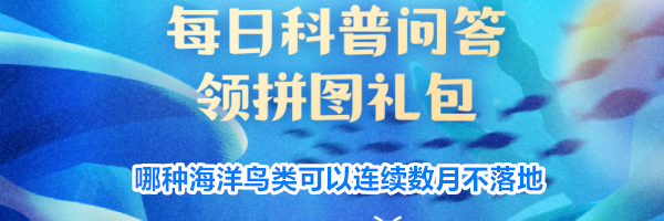 哪种海洋鸟类可以连续数月不落地