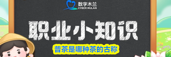 普茶是哪种茶的古称