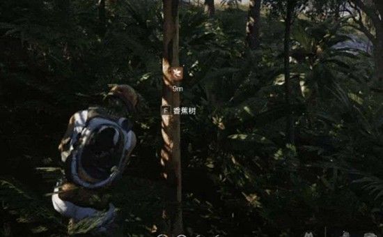 《七日世界》拟态树海兔打法攻略