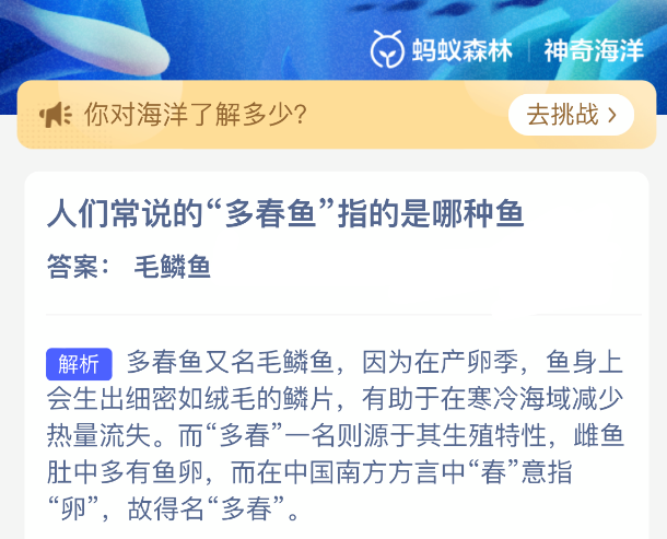 人们常说的多春鱼指的是哪种鱼