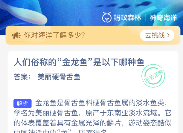 人们俗称的金龙鱼是以下哪种鱼
