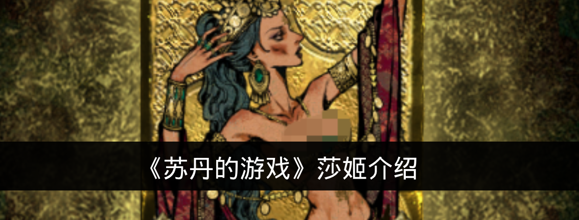 《苏丹的游戏》莎姬介绍