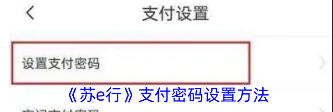 《苏e行》支付密码设置方法