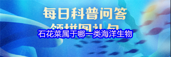 石花菜属于哪一类海洋生物