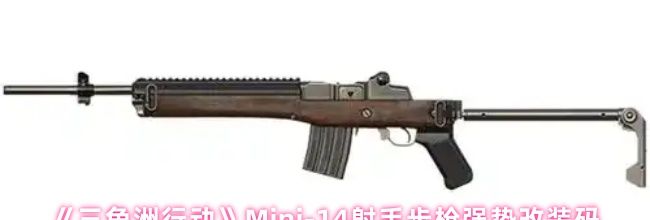 《三角洲行动》Mini-14射手步枪强势改装码