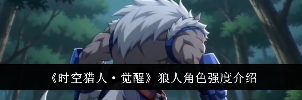 《时空猎人·觉醒》狼人角色强度介绍