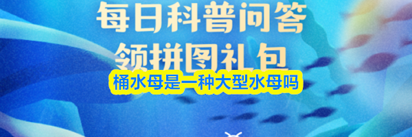 桶水母是一种大型水母吗