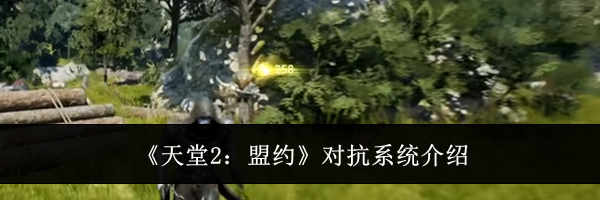 《天堂2:盟约》对抗系统介绍