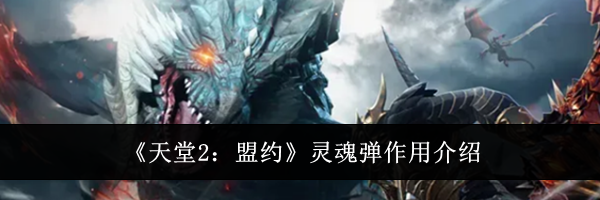 《天堂2:盟约》灵魂弹作用介绍