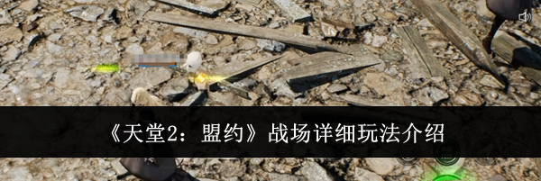 《天堂2:盟约》战场详细玩法介绍
