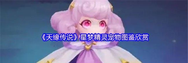 《天缘传说》星梦精灵宠物图鉴欣赏