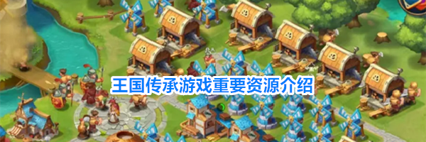王国传承游戏重要资源介绍