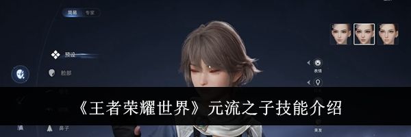 《王者荣耀世界》元流之子技能介绍