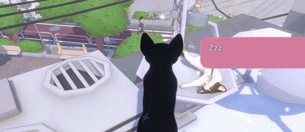 小猫咪大城市快速午睡获得方法
