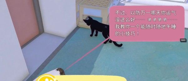 小猫咪大城市快速午睡获得方法