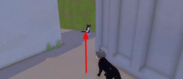 小猫咪大城市日常美容动作获取方式