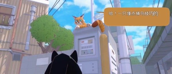 小猫咪大城市伸个大懒腰动作获得方法